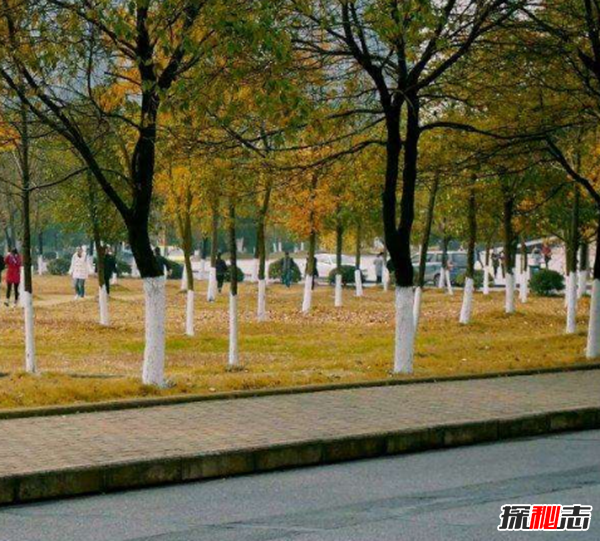 校园灵异事件电影 死亡教室最恐怖(鬼并不存在)
