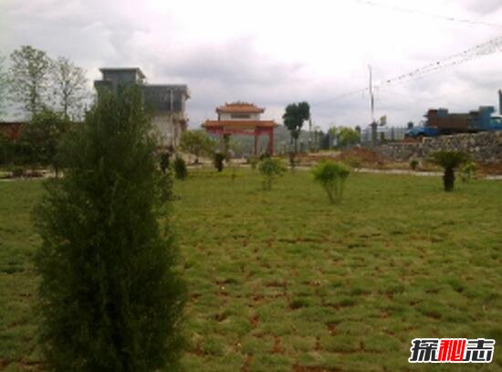 湖南洞口县喷香的土地之谜，土地散发奇异香味(科学无解)