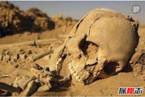 意大利与印尼的死亡谷之谜，未知力量吞食人类/动物(恐怖)