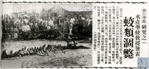 营口坠龙事件是真的吗:鲸鱼搁浅沙滩被当成龙(真相揭秘)