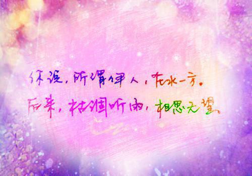 许南星傅斯年小说名字 许南星傅斯年全文免费阅读