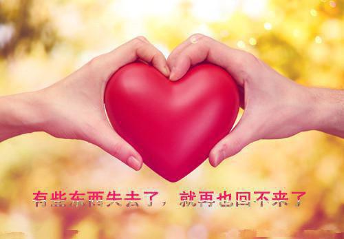 (抖音小说)姜颂宁陆远洲免费阅读第18章