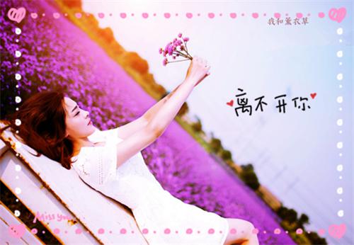 主角名是姜莞陆禹桁全文免费阅读正版
