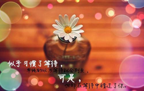 (抖音小说)颜溪顾抚舟免费阅读第1章
