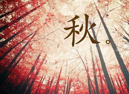 捡个腹黑老公回家夏落落唐凌宇by兔娃他爸